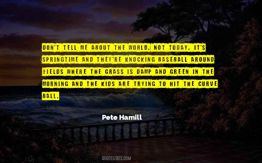 Pete Hamill Quotes #553845