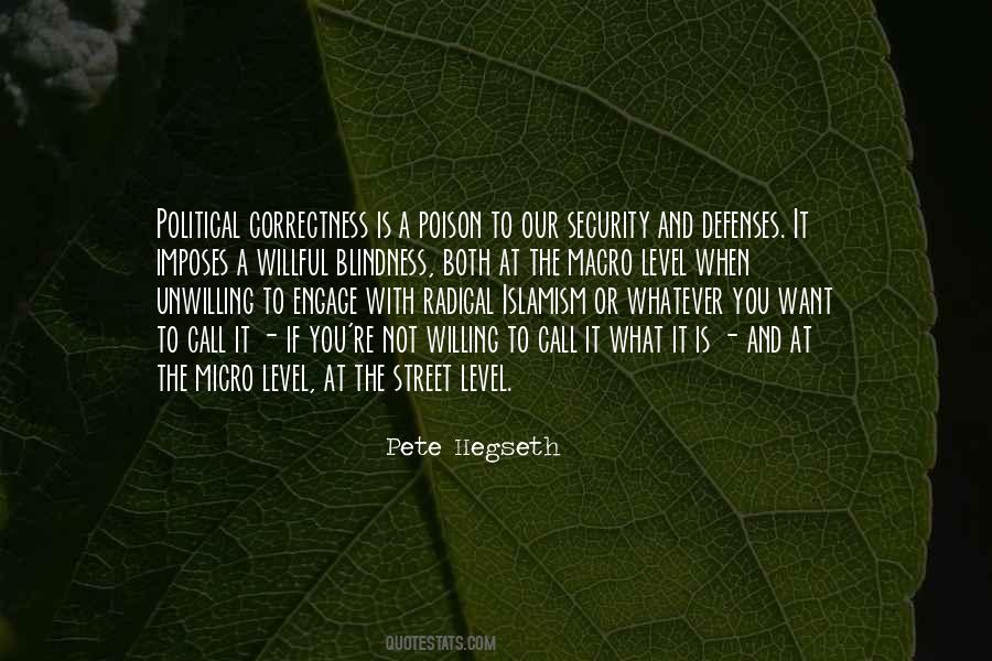 Pete Hegseth Quotes #482618