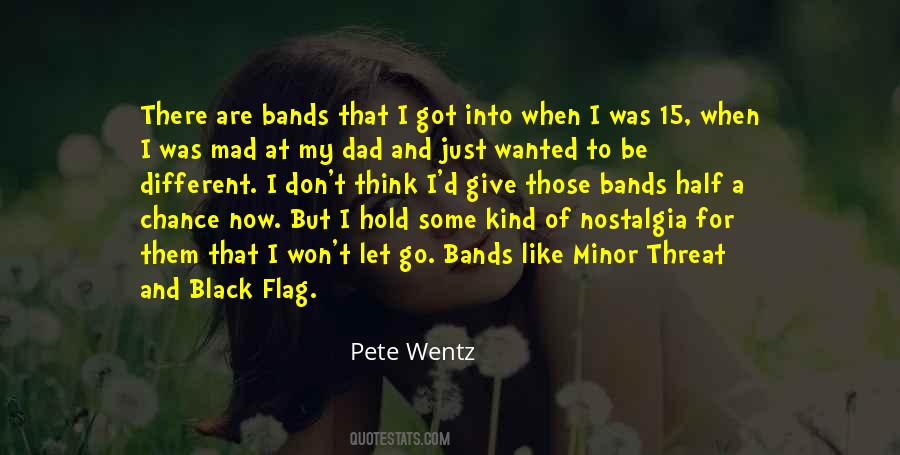 Pete Wentz Quotes #1284439