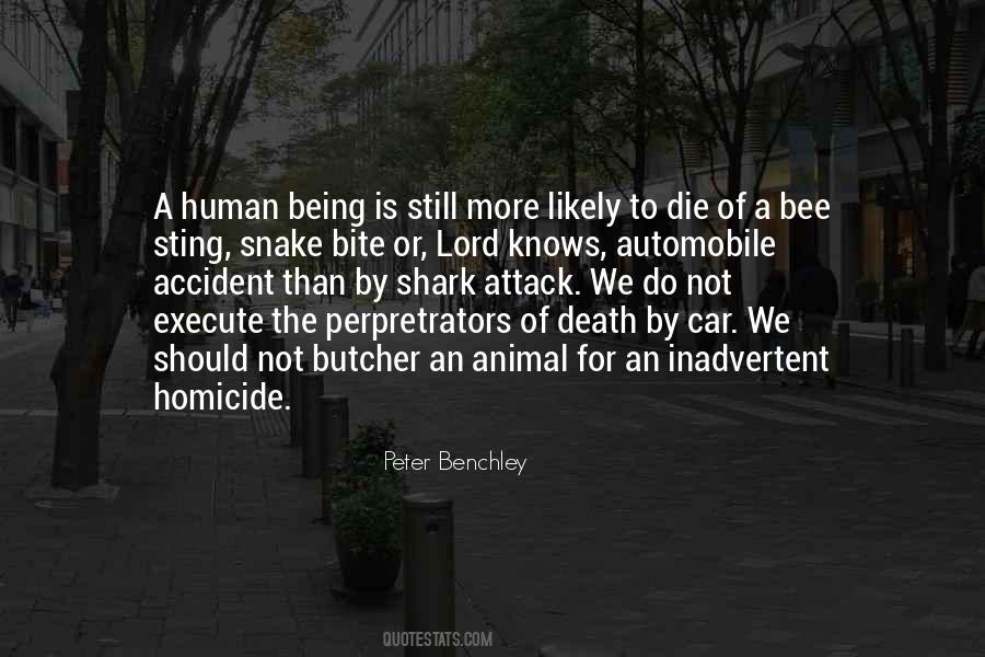 Peter Benchley Quotes #1303568