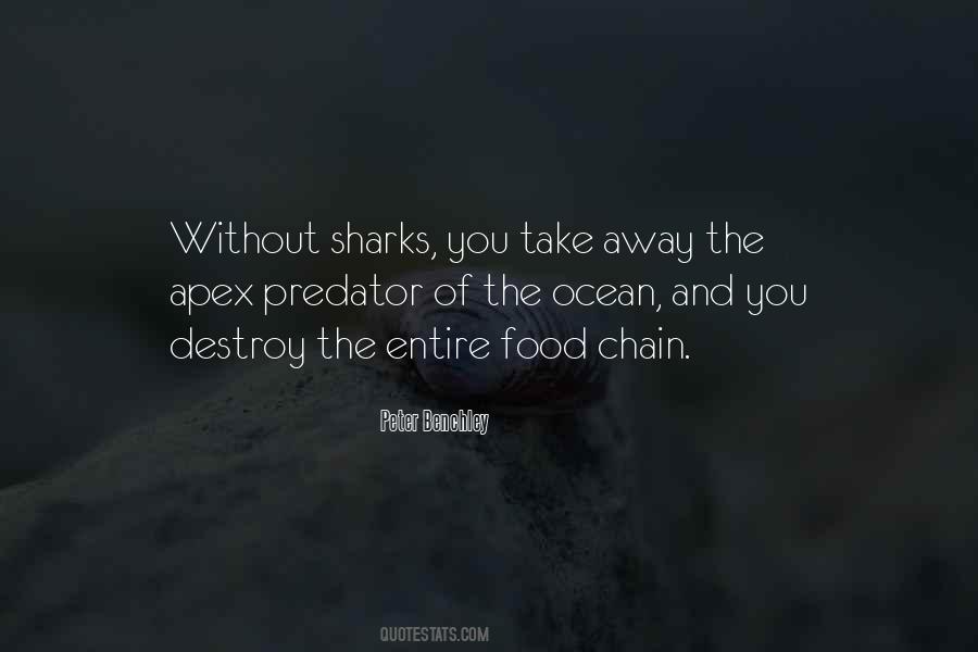 Peter Benchley Quotes #452372