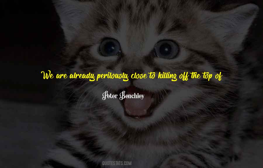 Peter Benchley Quotes #534615