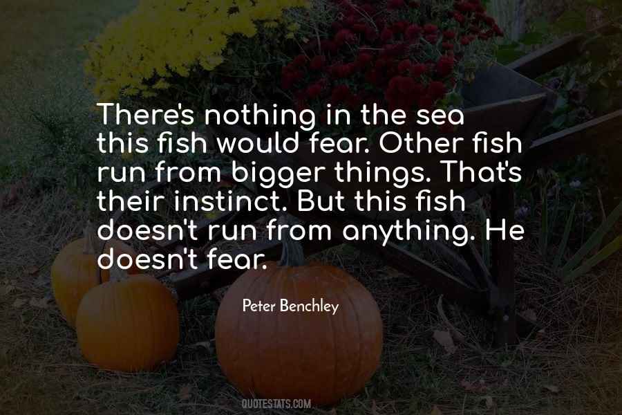 Peter Benchley Quotes #82768