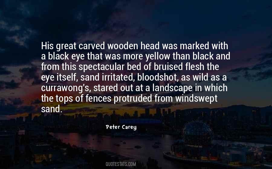 Peter Carey Quotes #1170853