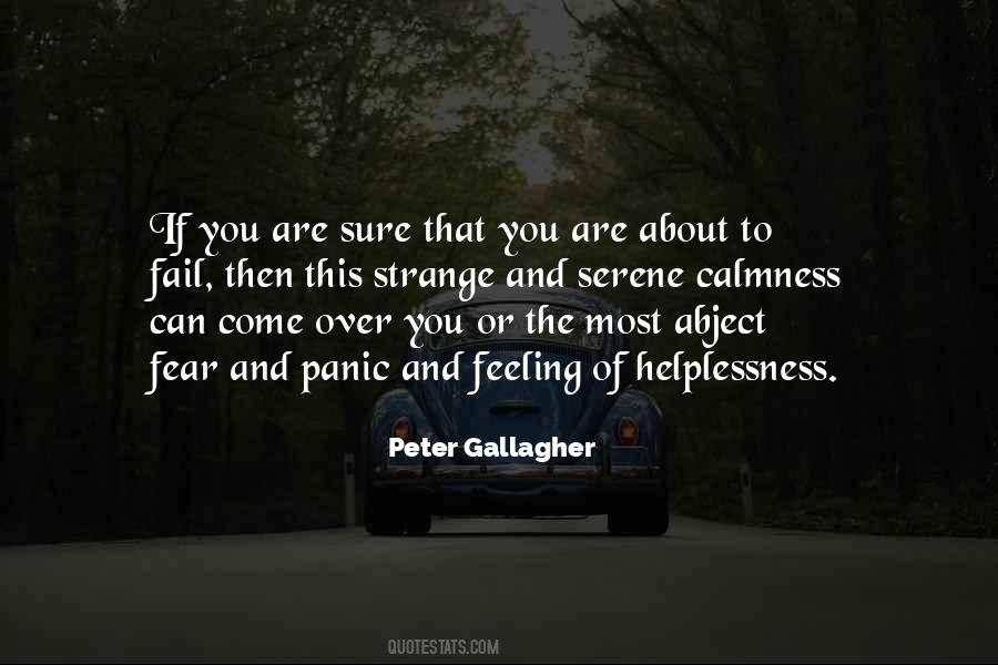 Peter Gallagher Quotes #308707