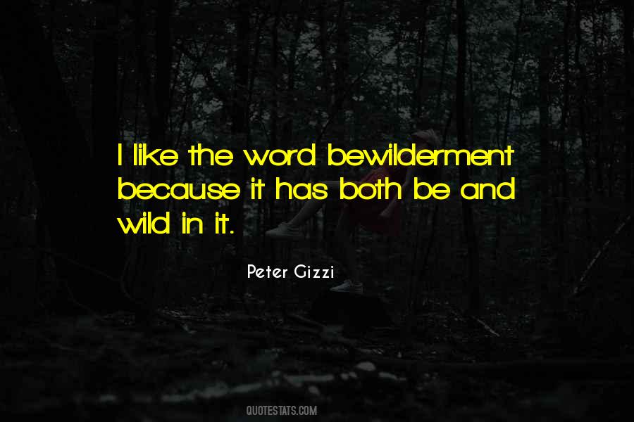 Peter Gizzi Quotes #473774