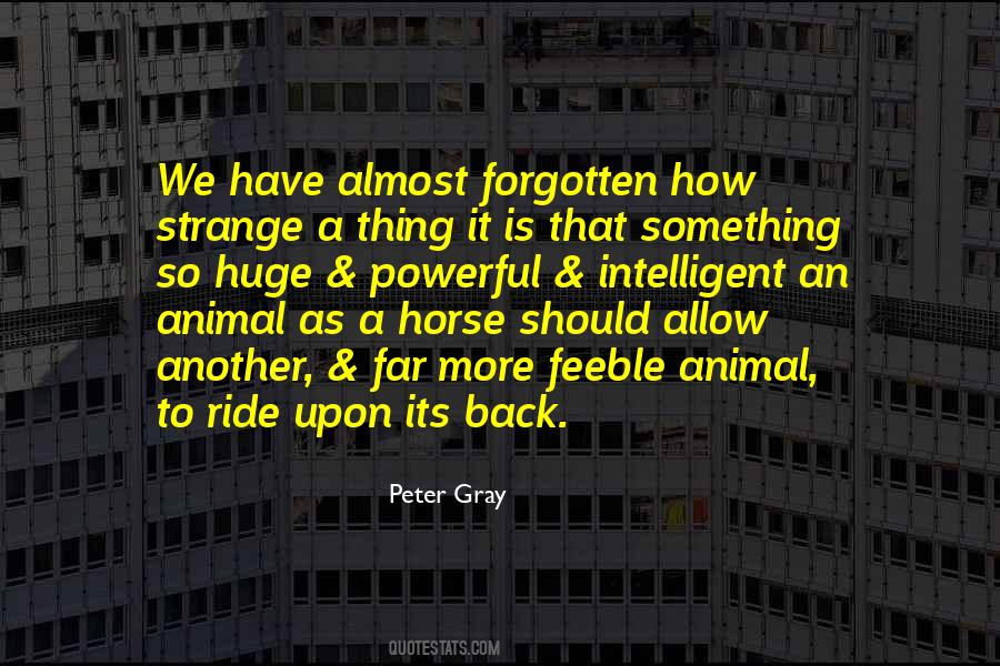 Peter Gray Quotes #1720944