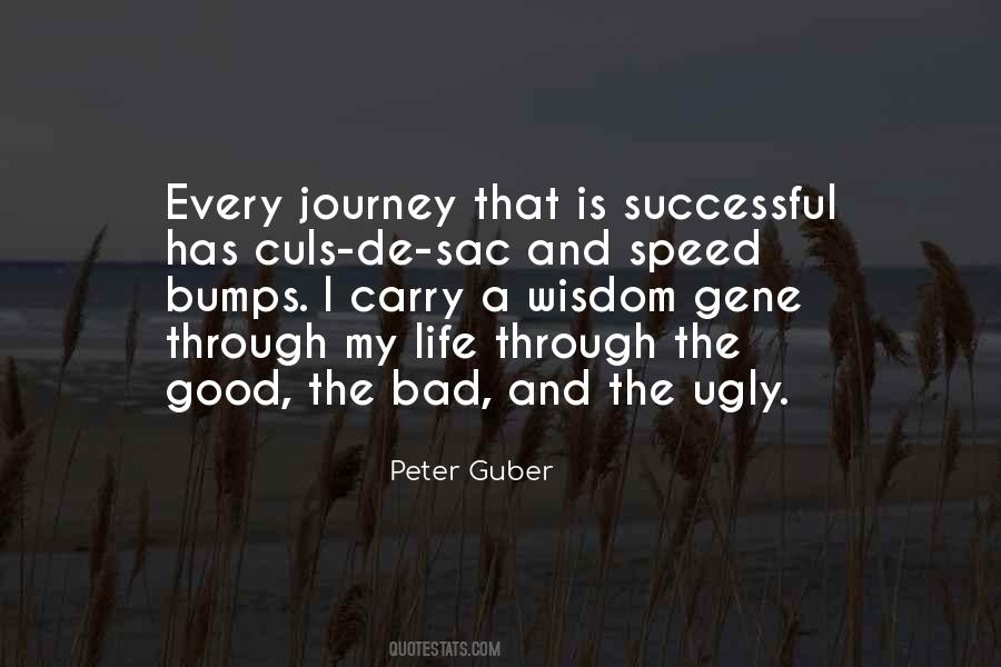 Peter Guber Quotes #848093