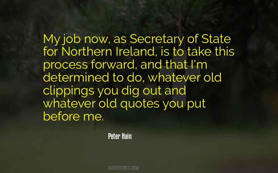 Peter Hain Quotes #1049311
