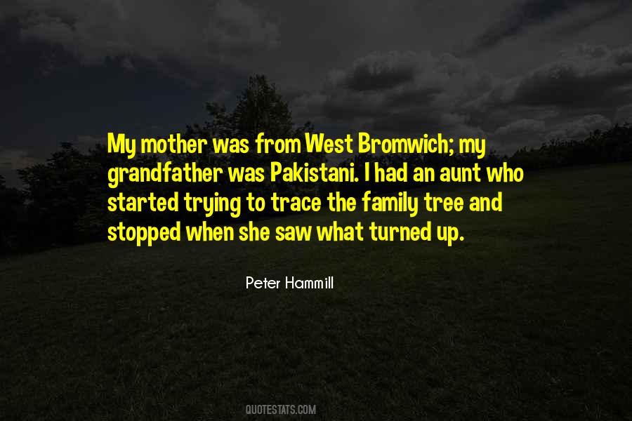 Peter Hammill Quotes #1023271