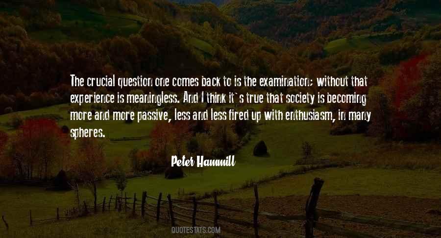 Peter Hammill Quotes #543804