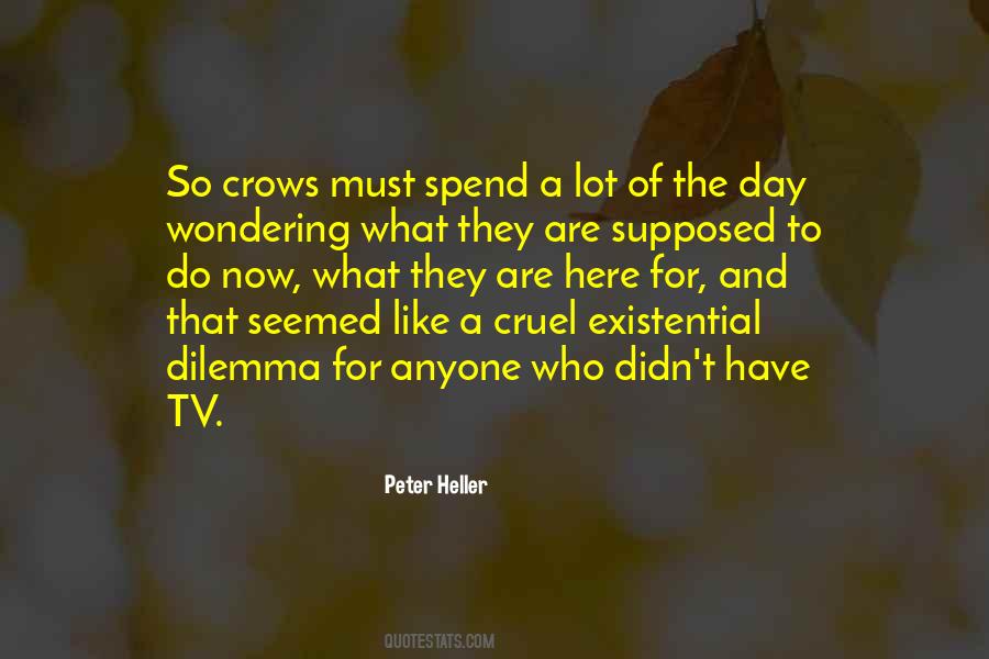 Peter Heller Quotes #1203656