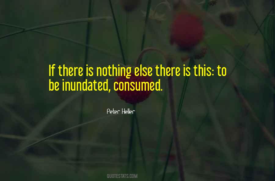 Peter Heller Quotes #150384