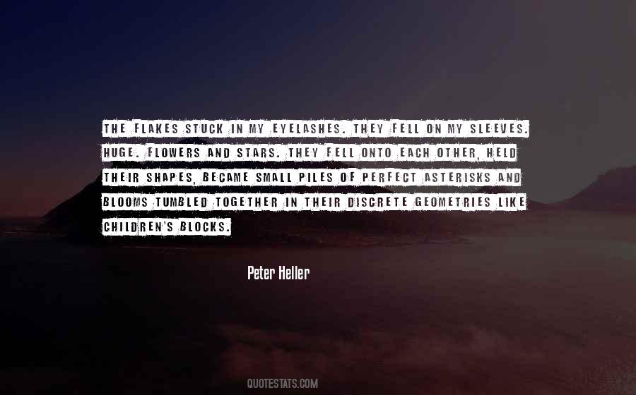 Peter Heller Quotes #343633