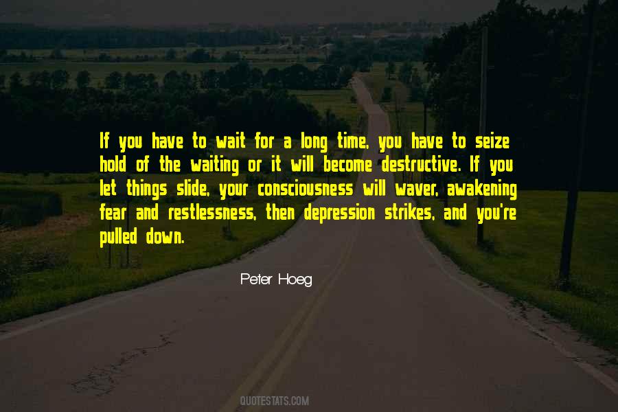 Peter Hoeg Quotes #392411