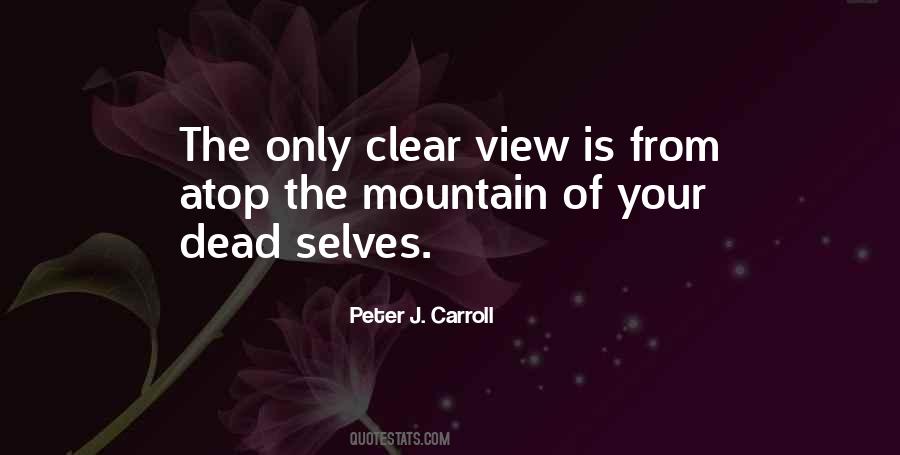 Peter J. Carroll Quotes #1639282