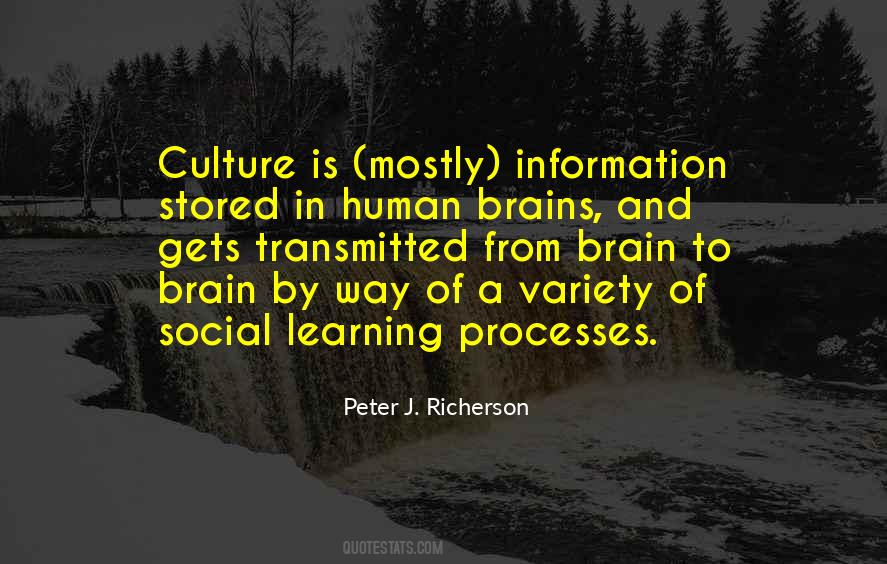 Peter J. Richerson Quotes #407451
