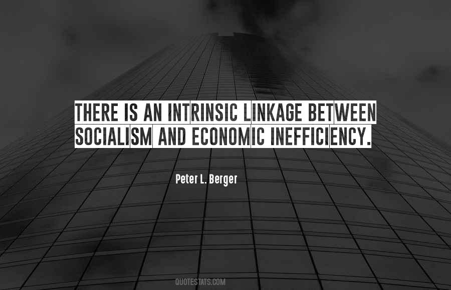 Peter L. Berger Quotes #1548312