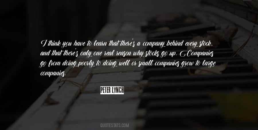Peter Lynch Quotes #947273