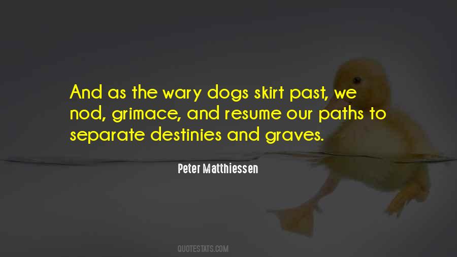 Peter Matthiessen Quotes #114142