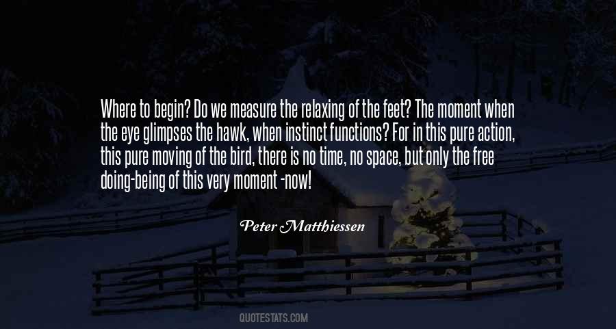Peter Matthiessen Quotes #1703025