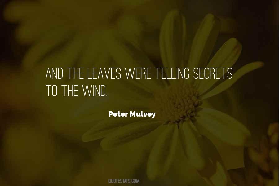 Peter Mulvey Quotes #599287