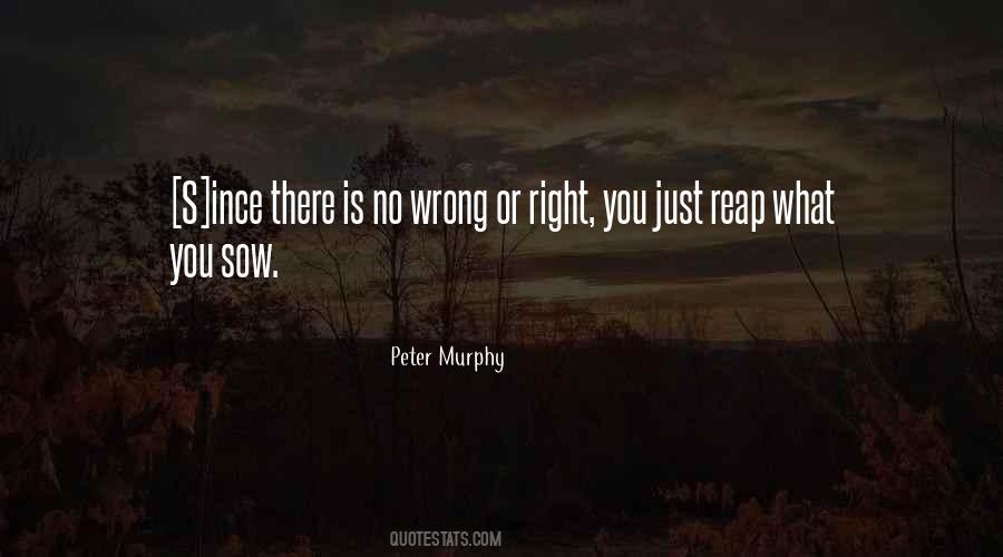 Peter Murphy Quotes #566809
