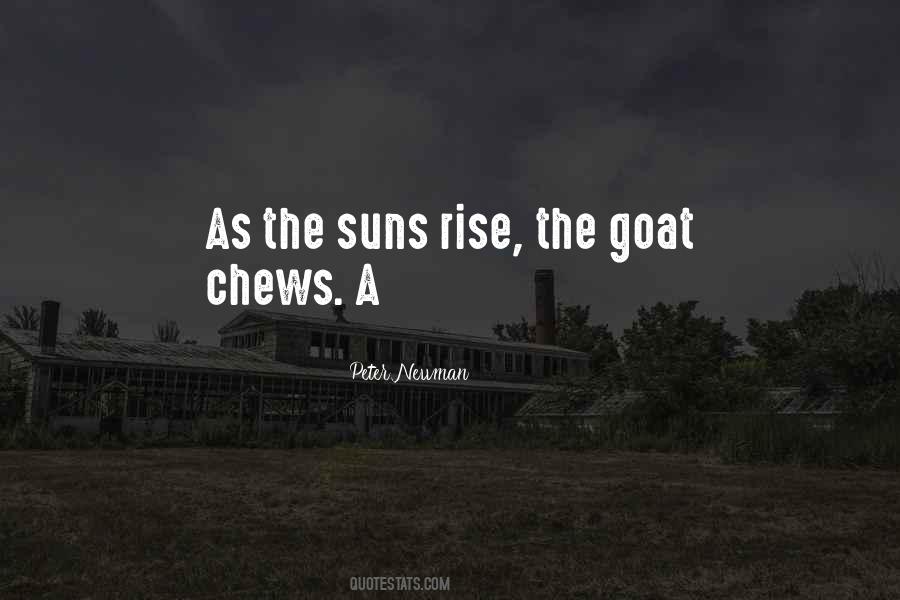 Peter Newman Quotes #1262275 Peter Newman Quotes #1262275