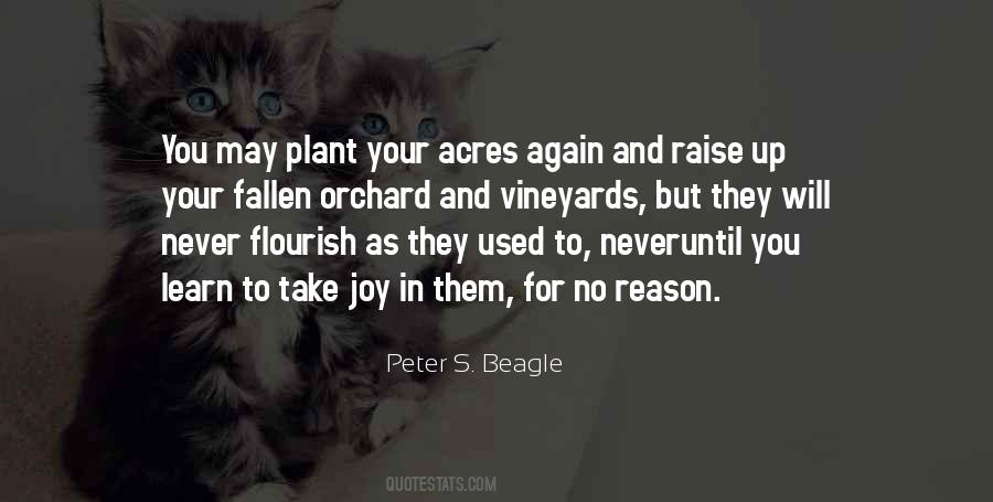 Peter S. Beagle Quotes #1148171