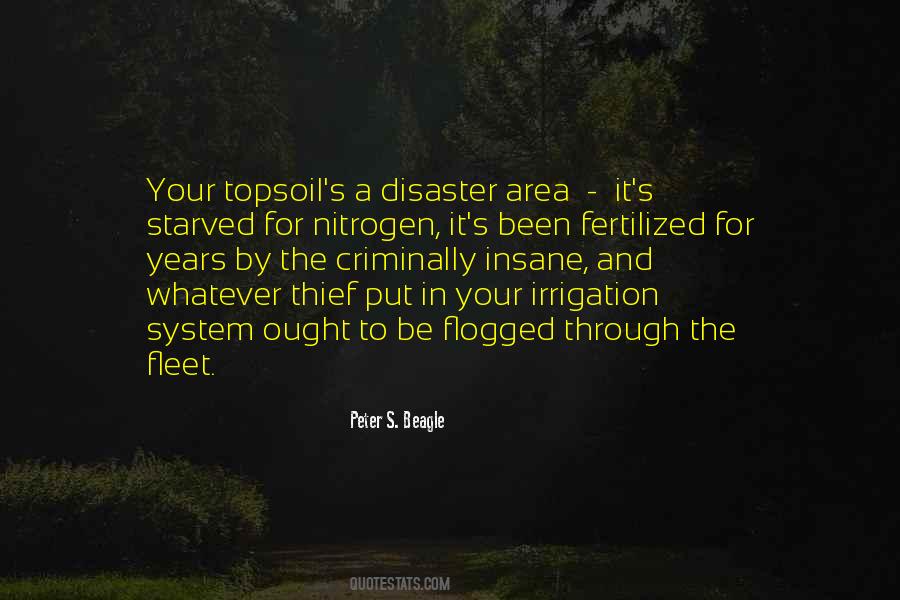 Peter S. Beagle Quotes #1329684