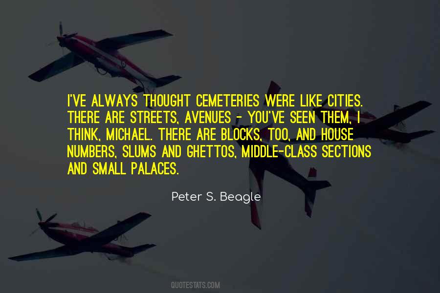 Peter S. Beagle Quotes #1547344