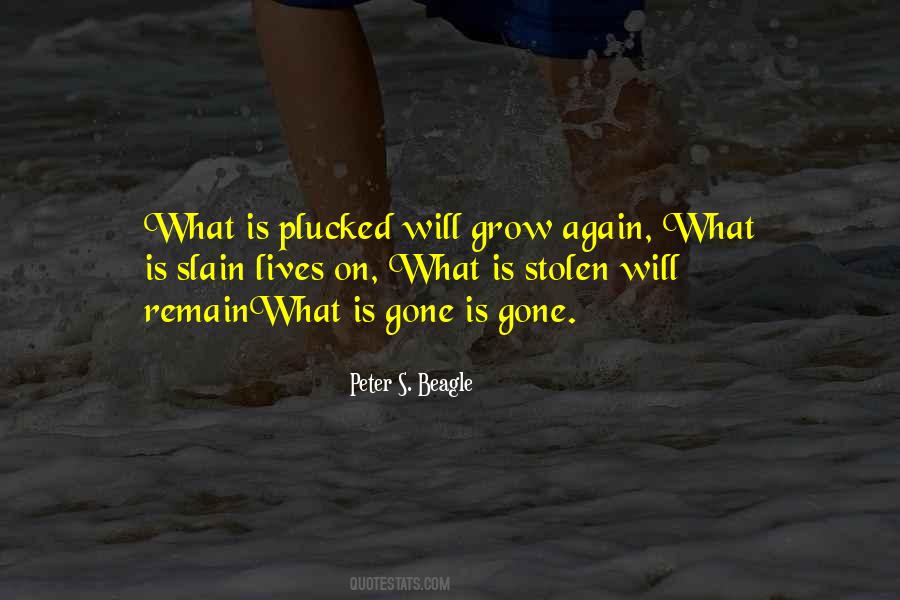 Peter S. Beagle Quotes #1548444