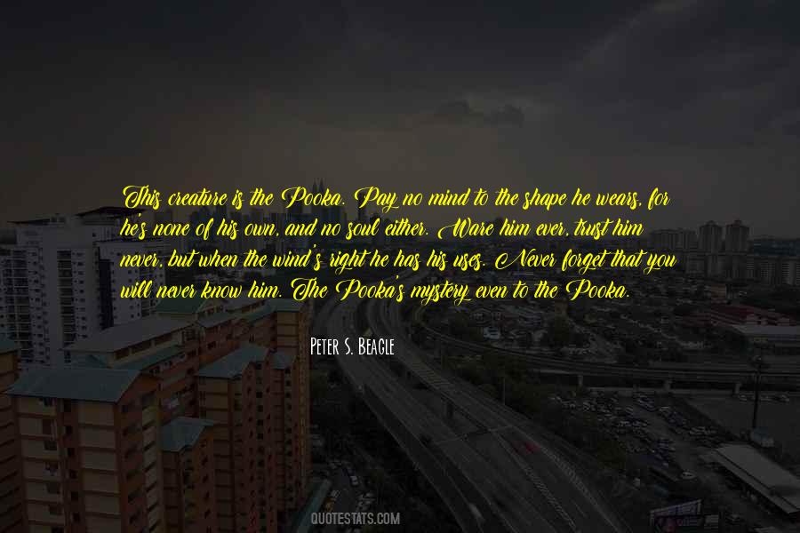 Peter S. Beagle Quotes #1740534