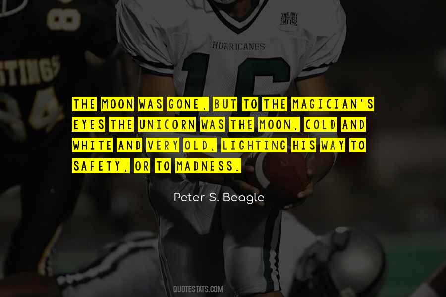 Peter S. Beagle Quotes #356378