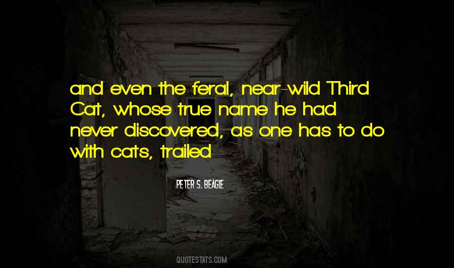 Peter S. Beagle Quotes #406110