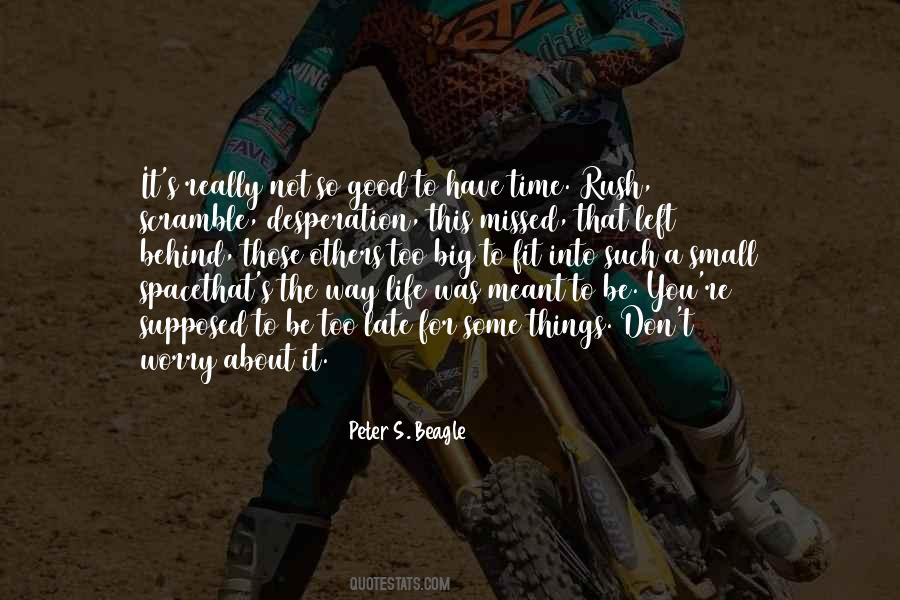 Peter S. Beagle Quotes #63019