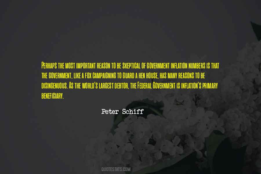 Peter Schiff Quotes #348894