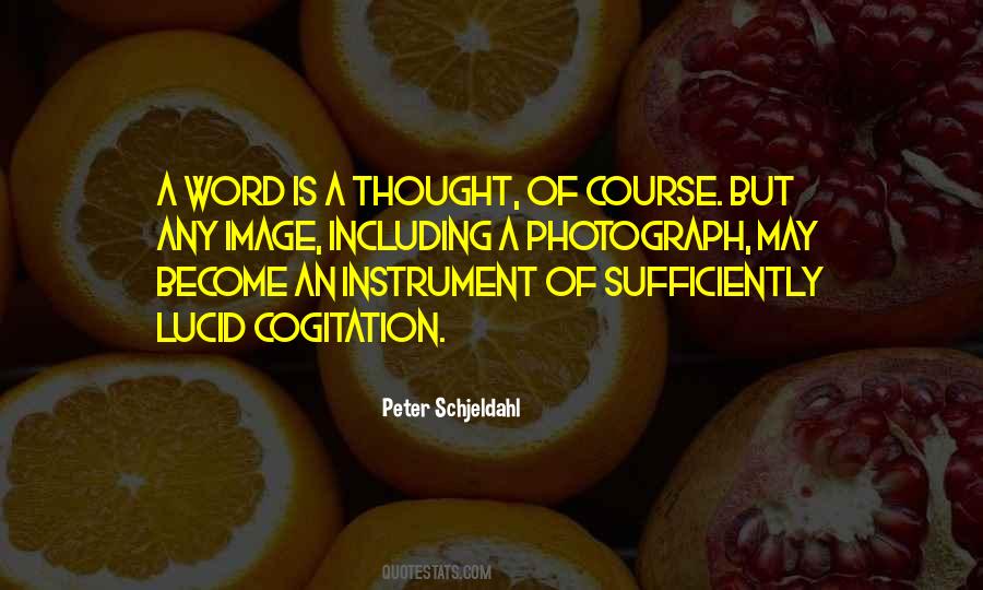 Peter Schjeldahl Quotes #1222031