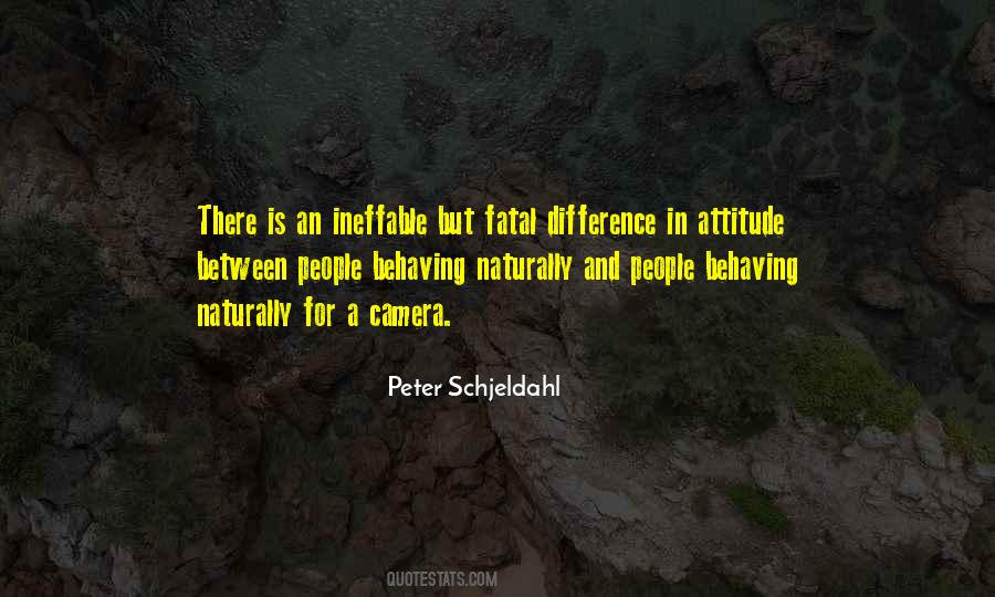 Peter Schjeldahl Quotes #714843