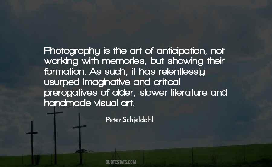 Peter Schjeldahl Quotes #996310