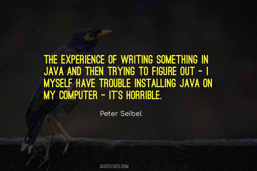 Peter Seibel Quotes #1823294