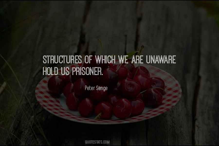 Peter Senge Quotes #1749503