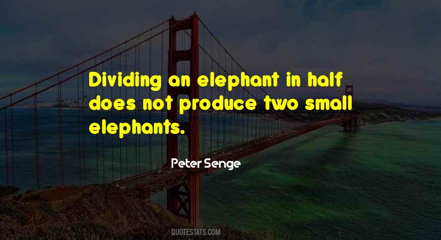 Peter Senge Quotes #428558