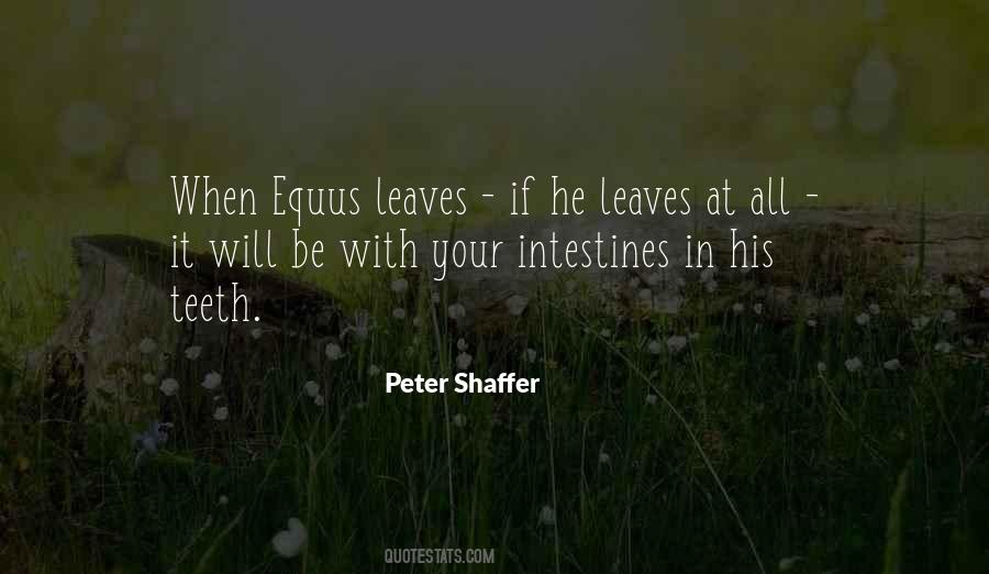 Peter Shaffer Quotes #153875