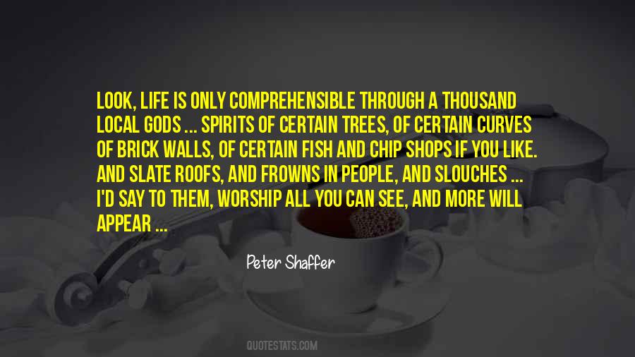 Peter Shaffer Quotes #46890