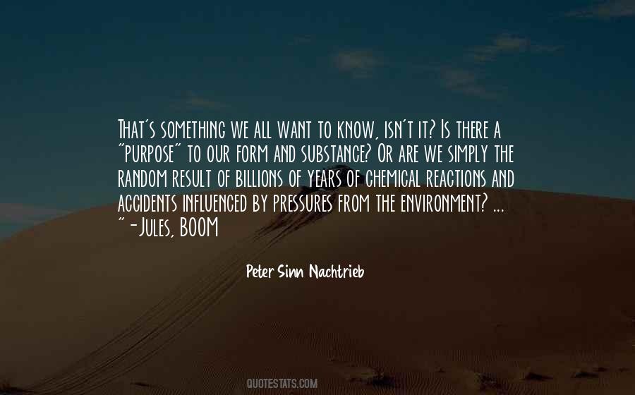 Peter Sinn Nachtrieb Quotes #1650662