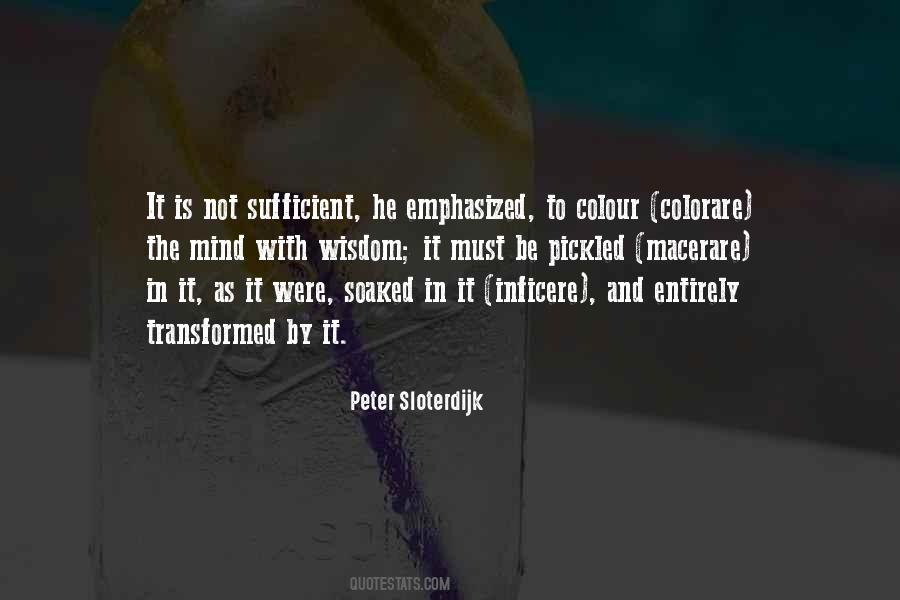Peter Sloterdijk Quotes #1116125