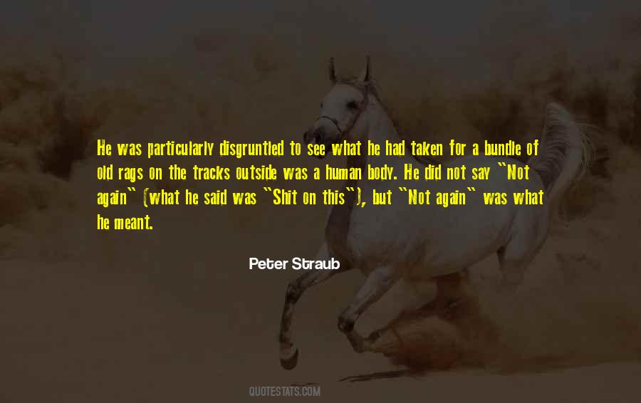 Peter Straub Quotes #1010133