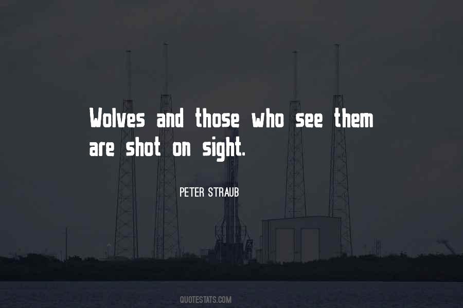 Peter Straub Quotes #1743990