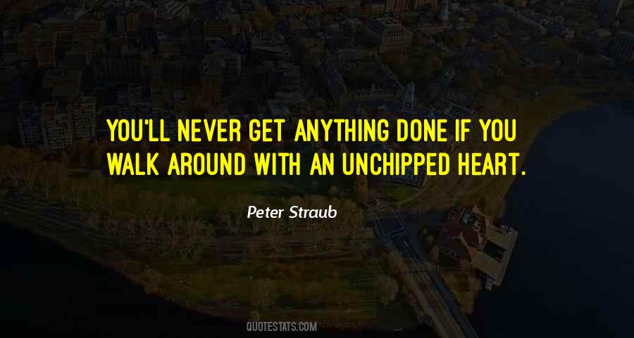 Peter Straub Quotes #1761493